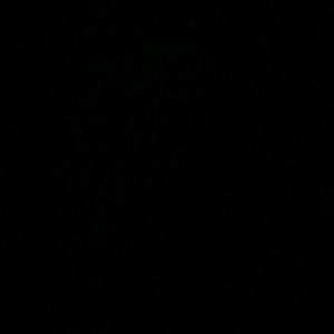 Meet your Posher, Janiyia